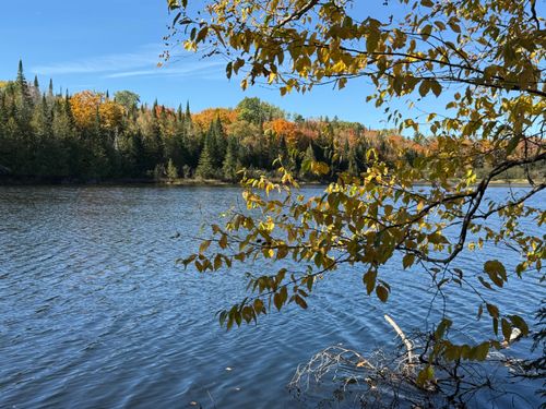 4 Carmichael Road, Littleton, ME, 04730 | Card Image