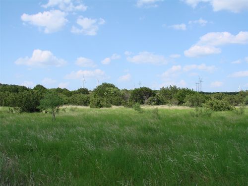 14653 Texas Forts Trl, Wingate, TX, 79566 | Card Image