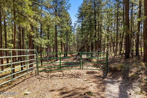 na-11 County Road 2135 --, Alpine, AZ, 85920 | Card Image