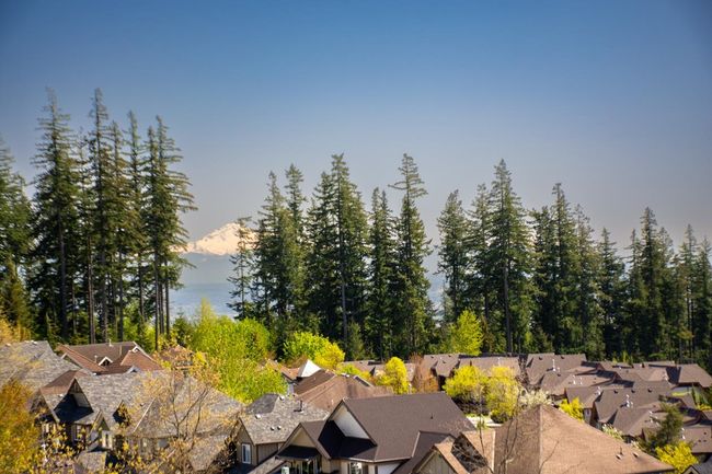 Drone / aerial view featuring a residential view | Image 15
