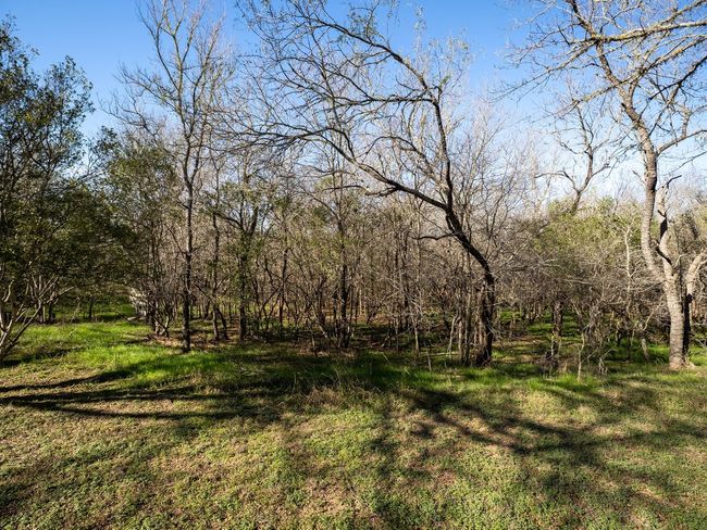 130 Sabine Dr, House other with 4 bedrooms, 4 bathrooms and 8 parking in Cedar Creek TX | Image 34