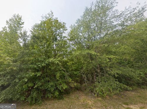 18-TBD E Old Wire Rd, Butler, GA, 31006-3725 | Card Image