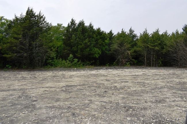 View of landscape featuring a wooded view | Image 14