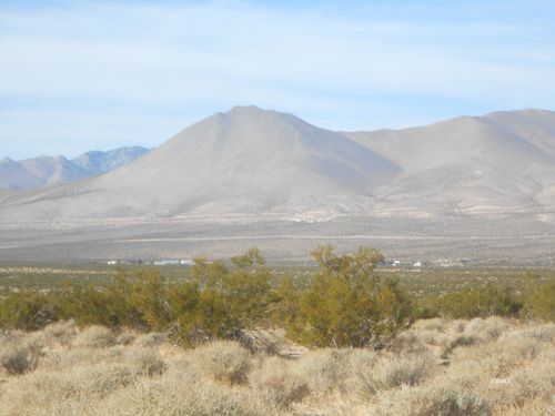 341-160-49 Dolphin In Inyokern, Inyokern, CA, 93527 | Card Image