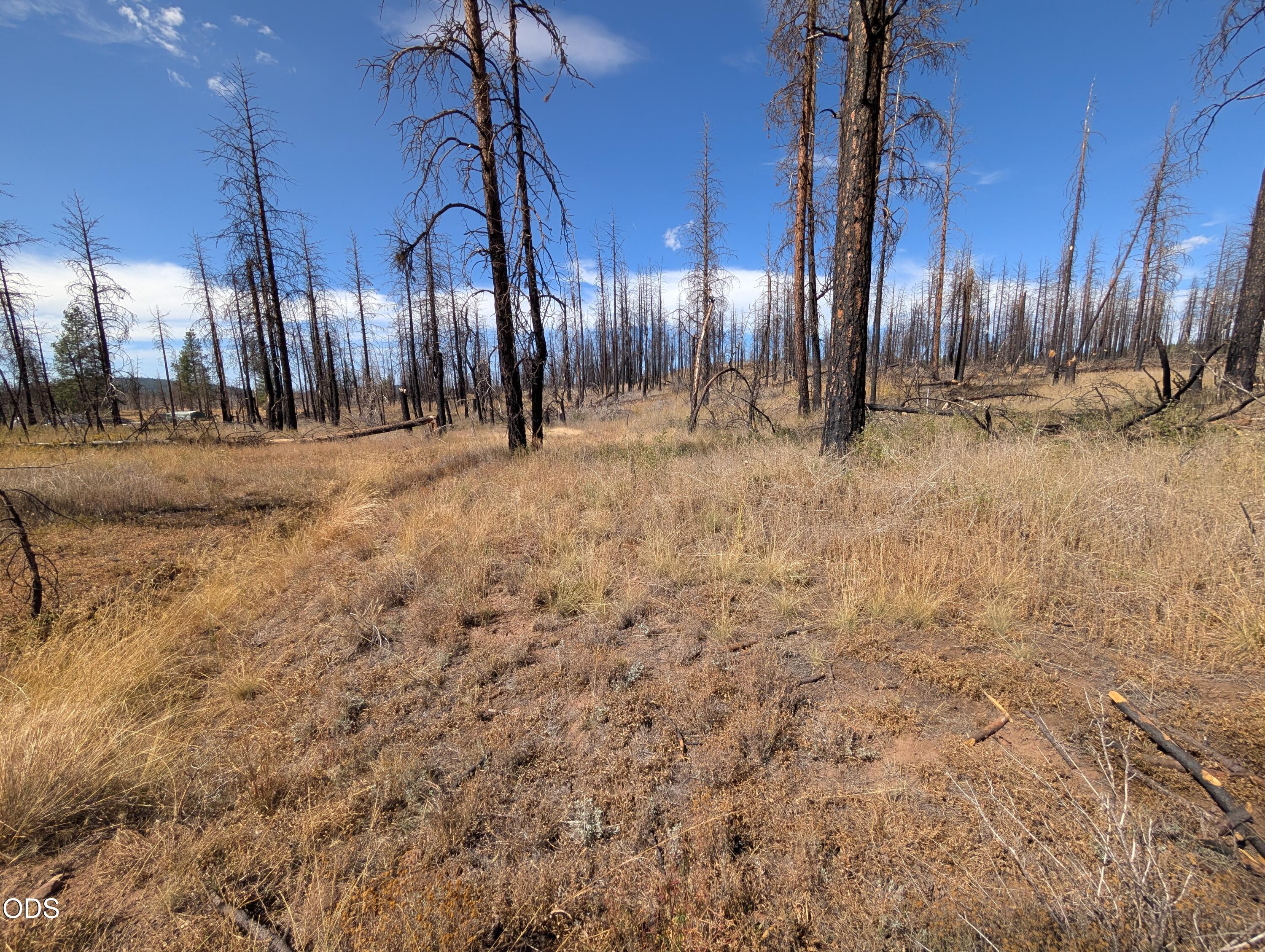 Land in Chiloquin 4