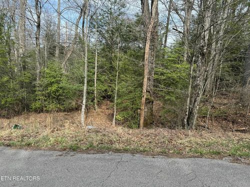 Lot 11 Ferry Bend Trl, Crossville, TN, 38571-1100 | Card Image