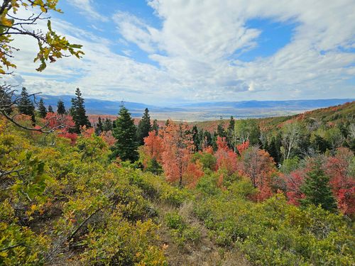 k28-28 Deer Valley Dr, Fairview, UT, 84629 | Card Image