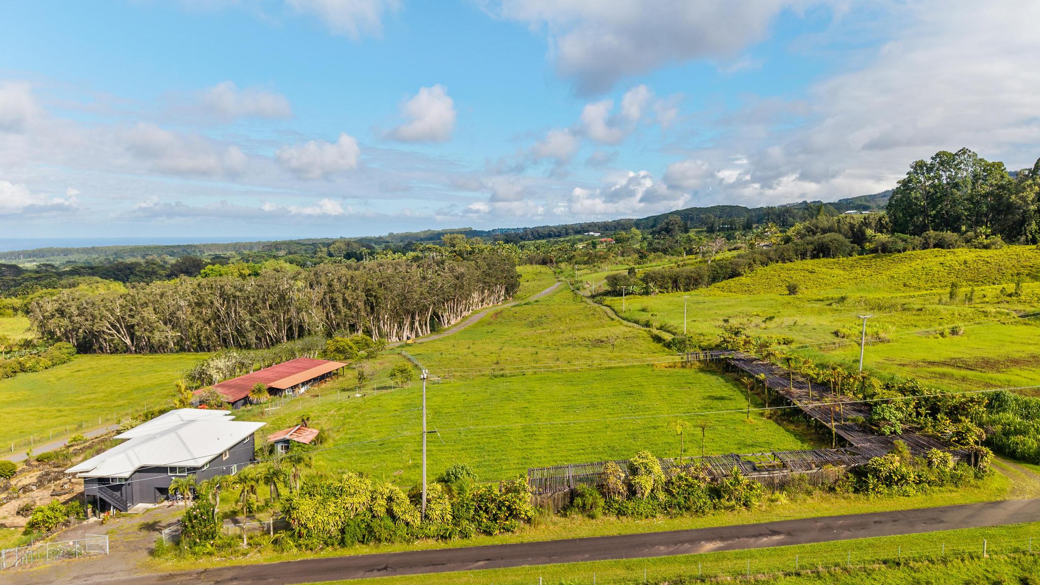 Land in Hakalau