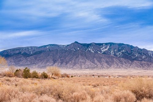 00 Don Julio Rd, Corrales, NM, 87048 | Card Image