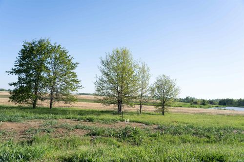 9685 Ayrshire Rd, Chandler, IN, 47610 | Card Image