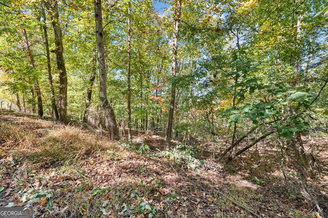 lot 2 Winterberry Lane, Home with 0 bedrooms, 0 bathrooms and null parking in Gainesville GA | Image 35