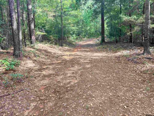 tbd 18.82 ACRES County Road 2125, Rusk, TX, 75785 | Card Image
