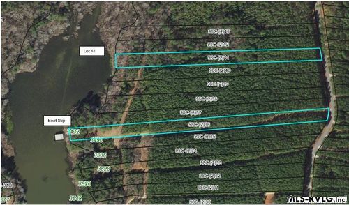 LOT 41 Birdsong Rd, Ebony, VA, 23845 | Card Image