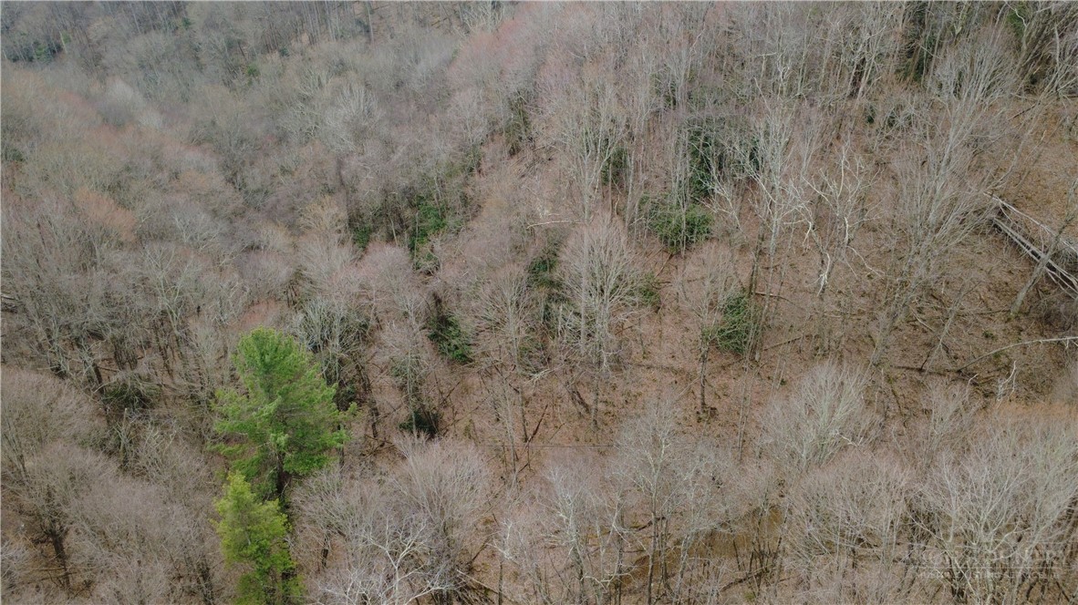 Land in Banner Elk 5