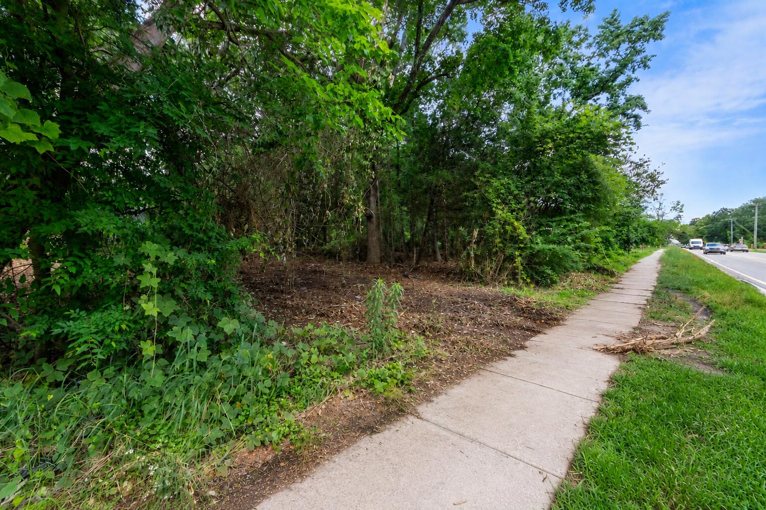 Land in Summerville 5