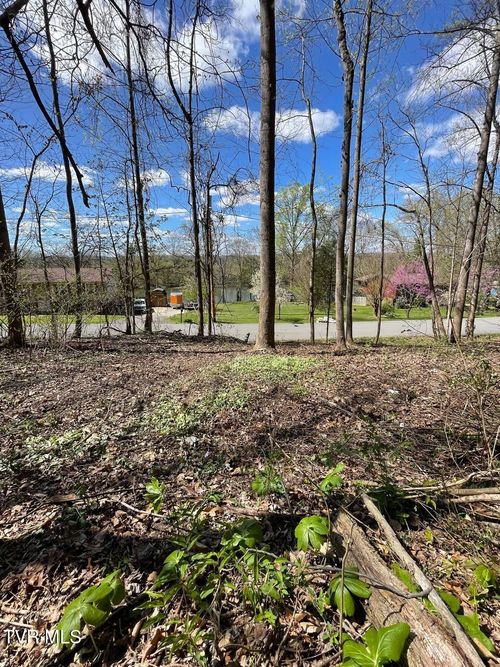 Tbd Kings Bay Dr, Kingsport, TN, 37660 | Card Image