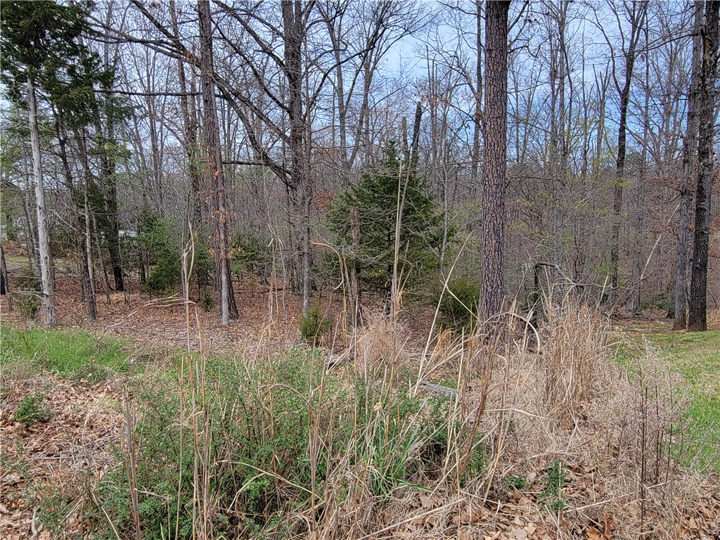 Land in Bella Vista 4