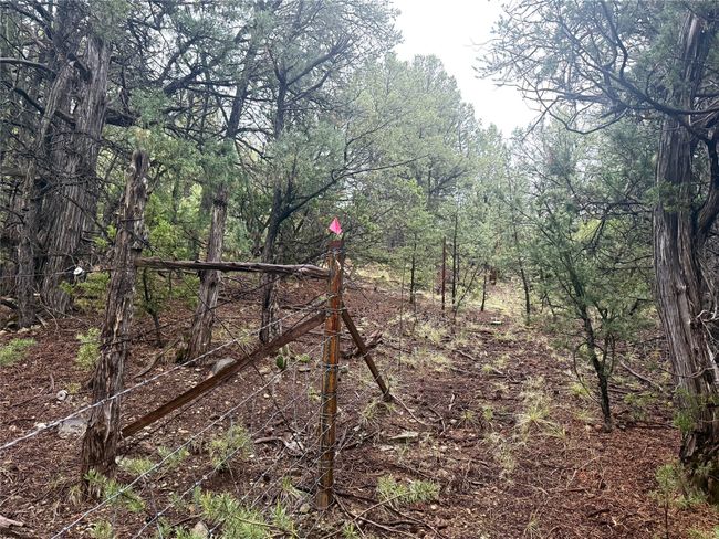 1 N Main St, Home with 0 bedrooms, 0 bathrooms and null parking in Pecos NM | Image 13