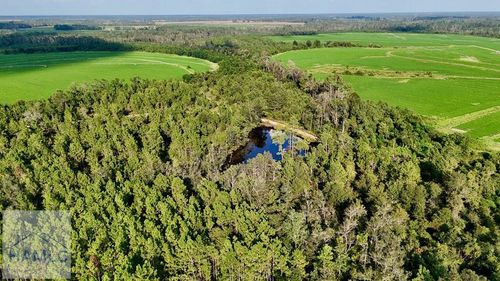 0 Rhonda Coleman Rd, Hazlehurst, GA, 31539 | Card Image