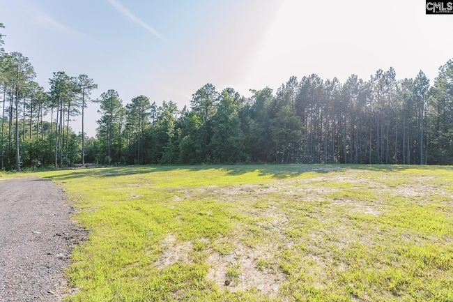 1132 Dan Comalander Rd, House other with 3 bedrooms, 5 bathrooms and null parking in Chapin SC | Image 67