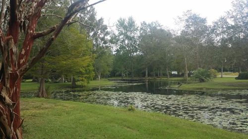 119 Ceasar Rd, Picayune, MS, 39466-8898 | Card Image