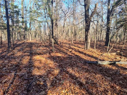 TBD Taylor Barnett Rd, Garfield, AR, 72732 | Card Image