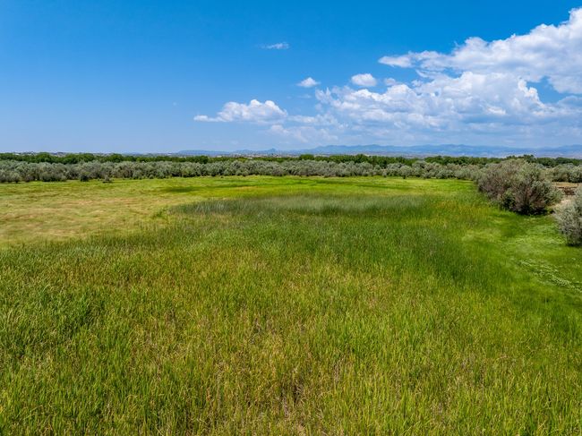 7 Sparkling Moolah, Home with 0 bedrooms, 0 bathrooms and null parking in Pena Blanca NM | Image 13