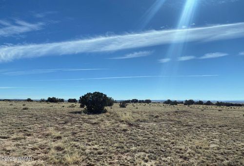 TBD Lot 372 Cr N7150, St. Johns, AZ, 85936 | Card Image