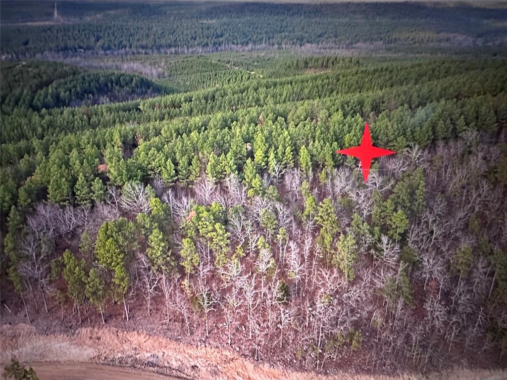 Land in Broken Bow 2