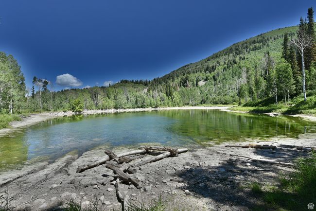 View of water feature with a wooded view | Image 50