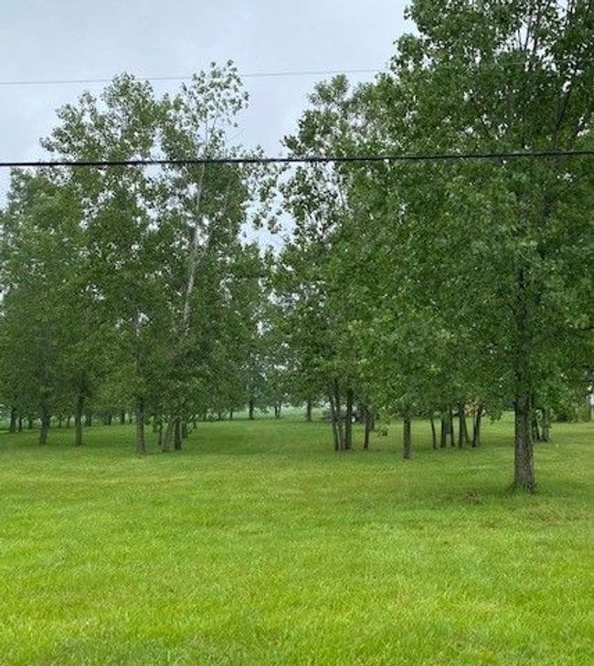 6139 Sharp Rd, Home with 0 bedrooms, 0 bathrooms and null parking in Swartz Creek MI | Image 5