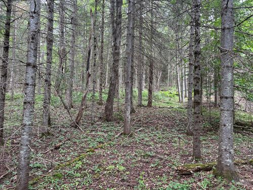 0 State Rd, Saranac, NY, 12981 | Card Image