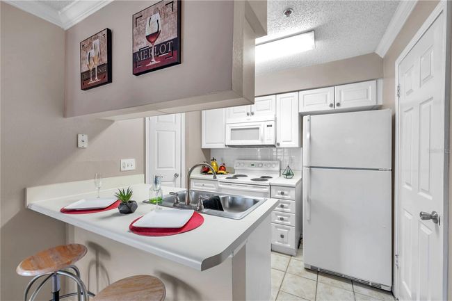 APT-129 - 1000 W Horatio St, Condo with 1 bedrooms, 1 bathrooms and null parking in TAMPA FL | Image 6