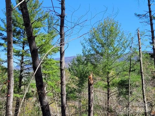 167 Fox Ridge Trl, Marion, NC, 28752-8905 | Card Image