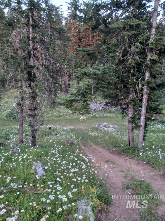 22848 Highway 11, House other with 3 bedrooms, 2 bathrooms and 4 parking in Weippe ID | Image 49