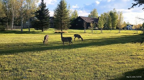 129 E Graf St, Bozeman, MT, 59715 | Card Image