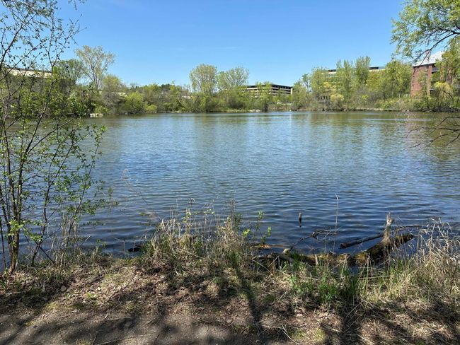 The private pond is just steps from the front door and has walking trails all around it. | Image 34