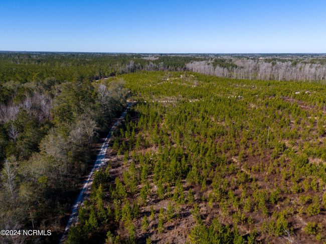 00 Sykes Town Rd, Home with 0 bedrooms, 0 bathrooms and null parking in Currie NC | Image 18