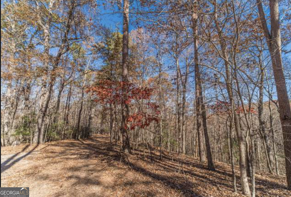 Land in Dahlonega 5