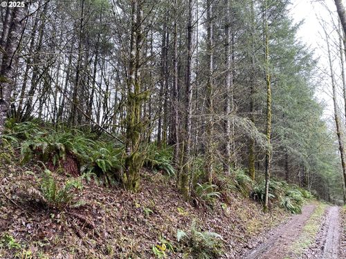 0 Ne Buncombe Hollow Rd, Woodland, WA, 98674 | Card Image