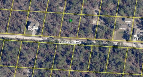 15163 Scaup Duck Ave, Weeki Wachee, FL, 34614-1439 | Card Image