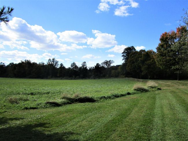 Open Land/Lot In Front | Image 18