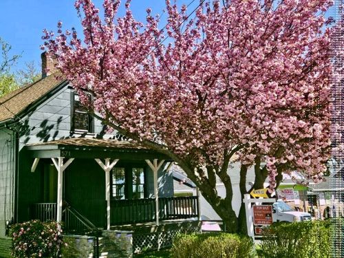 571 Winter St, Woonsocket, RI, 02895-1139 | Card Image