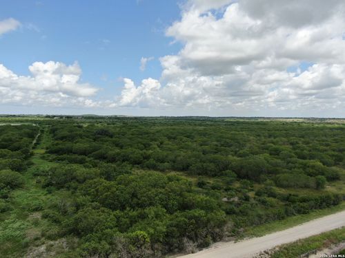 TRACT 8 TBD Cr 208, Hobson, TX, 78117 | Card Image