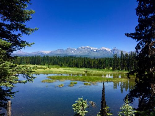 NHN North Fork Road, Polebridge, MT, 59928 | Card Image