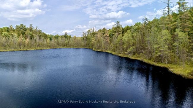 372 Mcdougall Rd, Home with 0 bedrooms, 0 bathrooms and null parking in Mcdougall ON | Image 22
