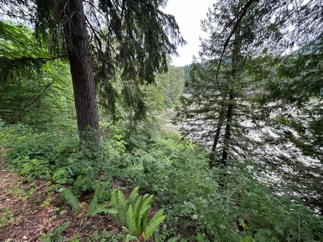 Lot 6 Trans Canada Highway, Home with 0 bedrooms, 0 bathrooms and null parking in Yale BC | Image 26