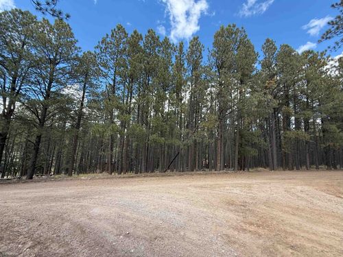 7 Pine Valley Drive, Angel Fire, NM, 87710 | Card Image