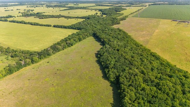 TBD 0 Cr 4911, Home with 0 bedrooms, 0 bathrooms and null parking in Ladonia TX | Image 20