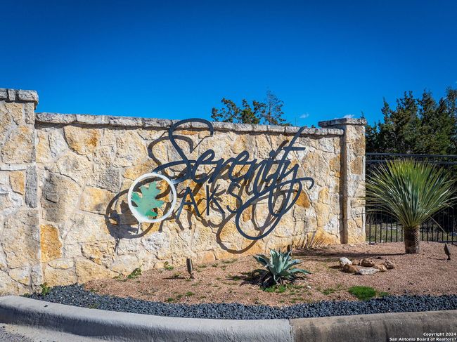 742 Rayner Ranch Blvd, Home with 0 bedrooms, 0 bathrooms and null parking in Spring Branch TX | Image 20